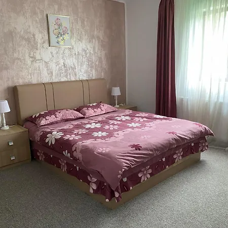 Pensiunea Floris Guest house Vata de Jos