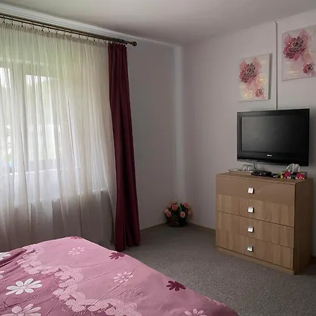 Pensiunea Floris 3* Vata de Jos