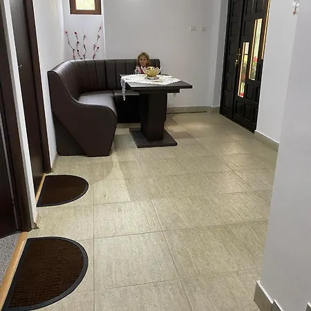 Guest house Pensiunea Floris